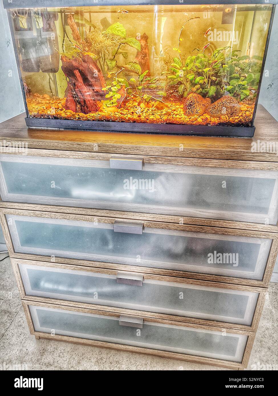 Fish Tanks In Apartments