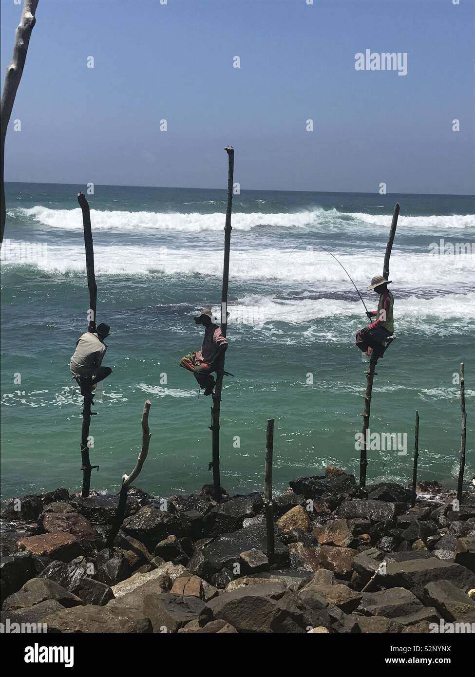 Stilt fishing in Sri Lanka Stock Photo - Alamy