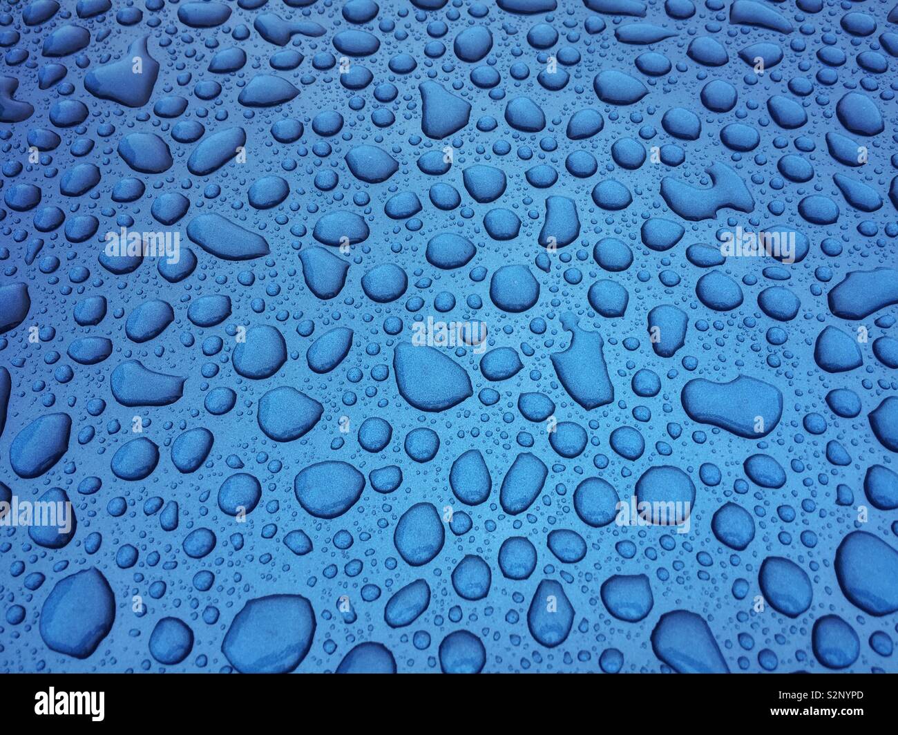 Water droplets on a waxed blue-metallic paint car roof. - Smartphone Captured Stock Image
