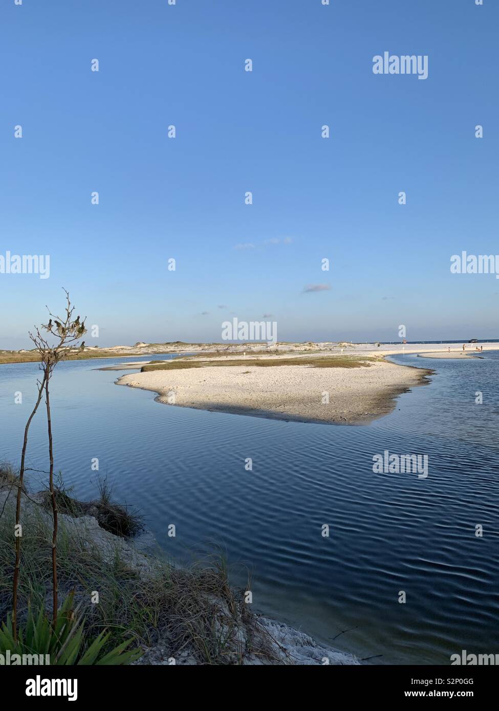 Coastal dune lake, Florida, rare and unique, leading to Gulf of Mexico - Smartphone Captured Stock Image