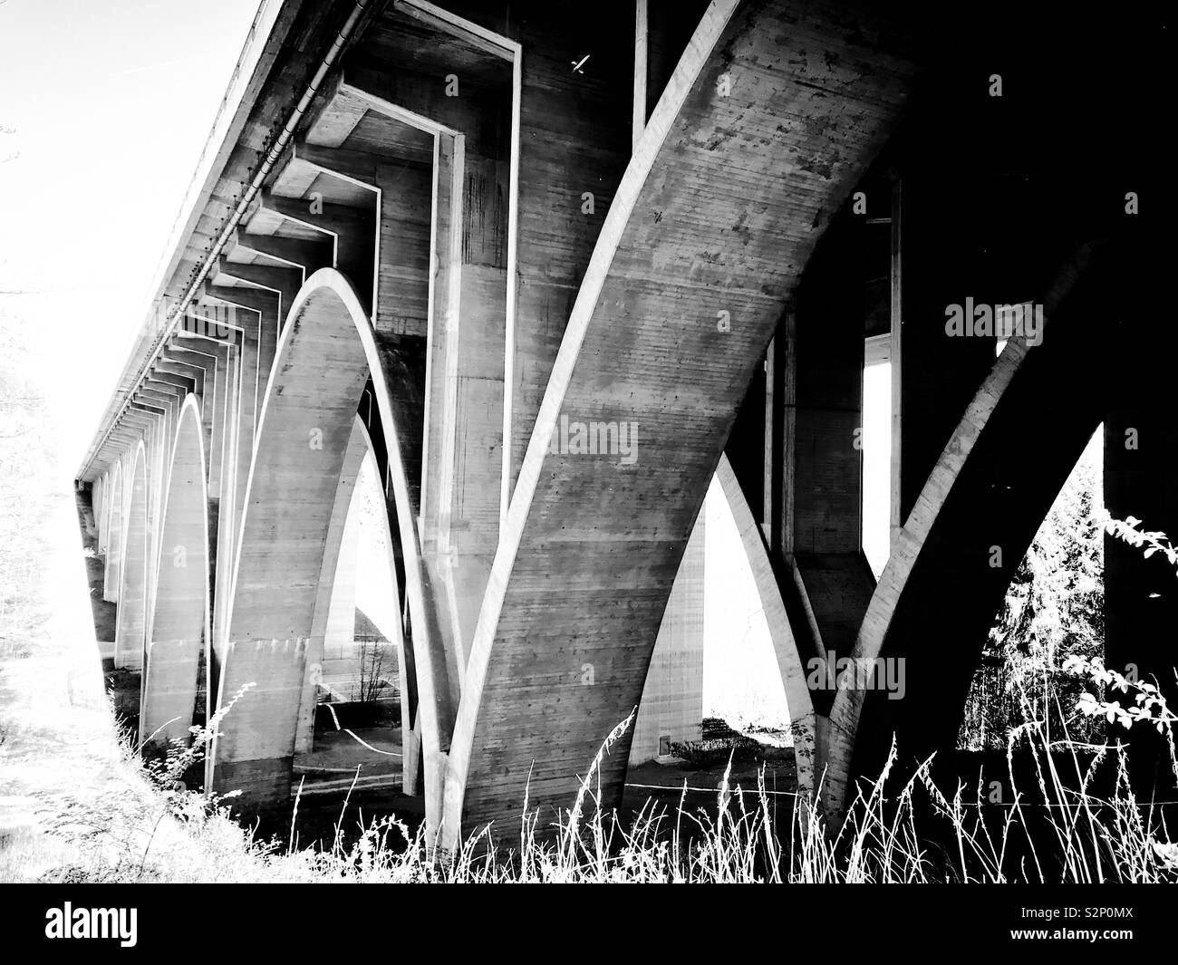 Bridge - Architecture - Arch - Black and white Stock Photo - Alamy