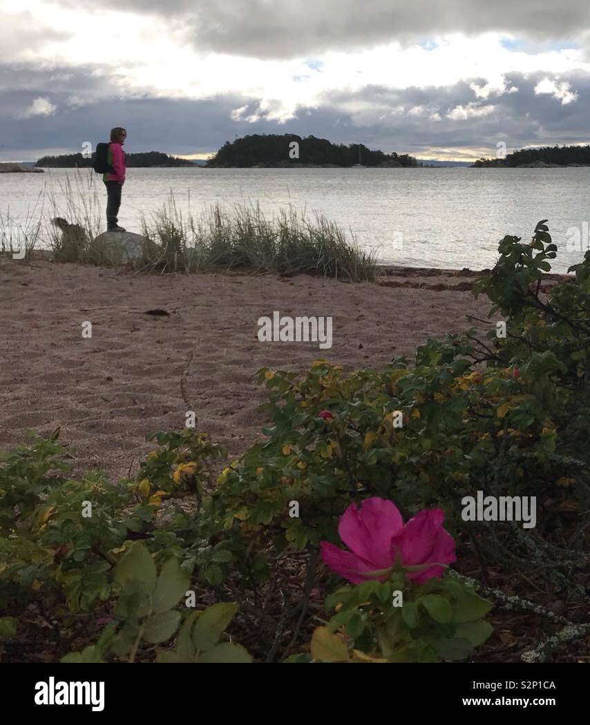 Admiring the many islands in the Stockholm archipelago Stock Photo Alamy