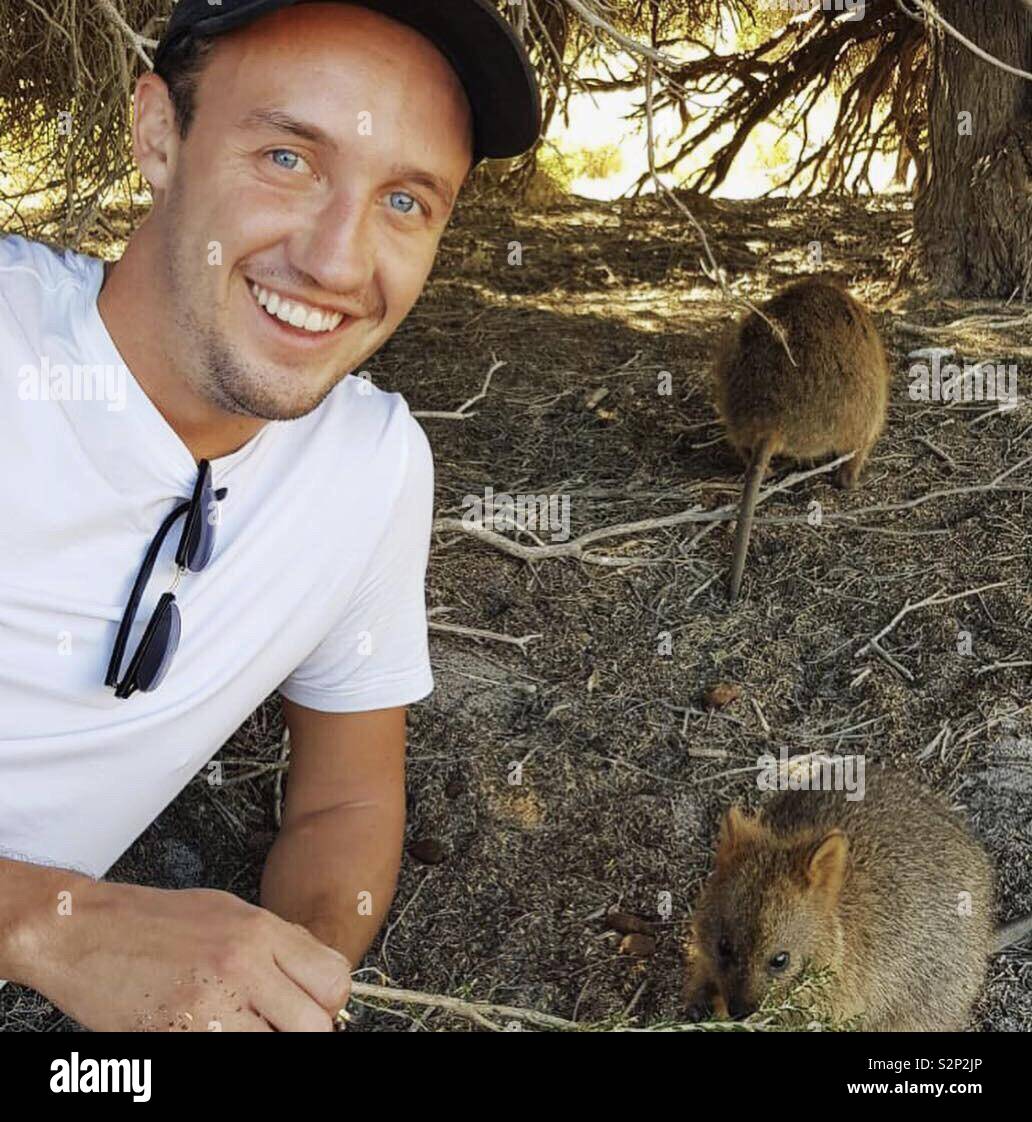 Quokka on Rottnest island Stock Photo Alamy