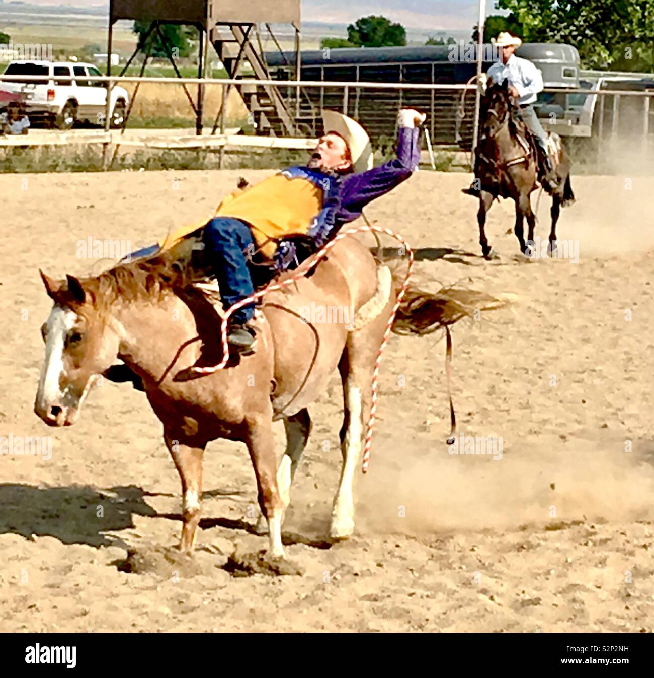 Bucking bronco hires stock photography and images Alamy