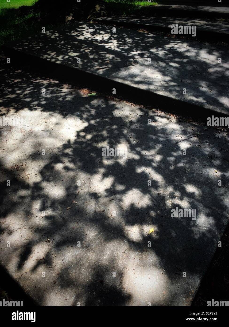The shadows of the leaves over the giant cement steps tells Summer coming Stock Photo
