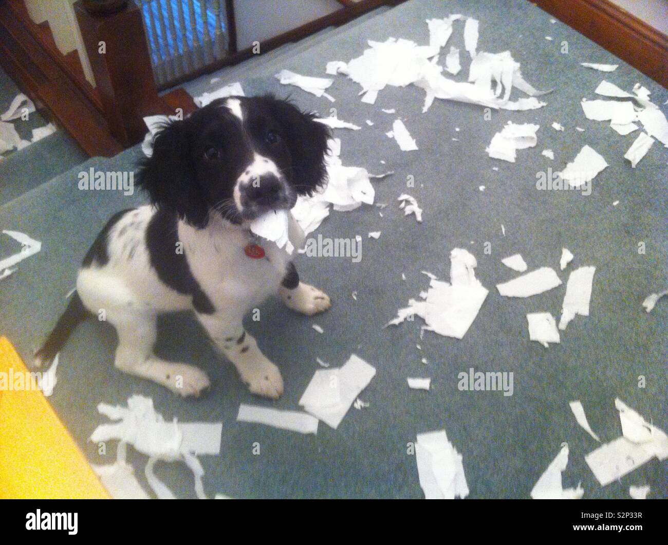 A spanner in the works Stock Photo Alamy