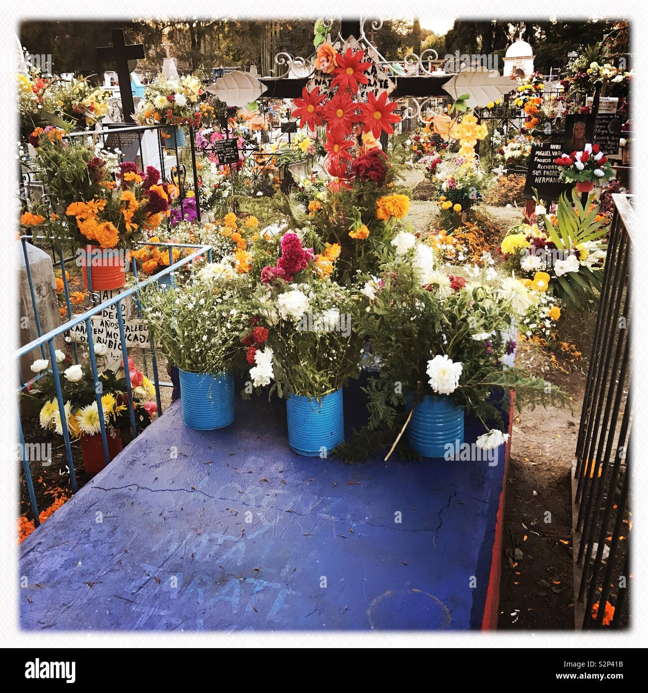 List 102+ Pictures day of the dead san miguel de allende 2021 Completed