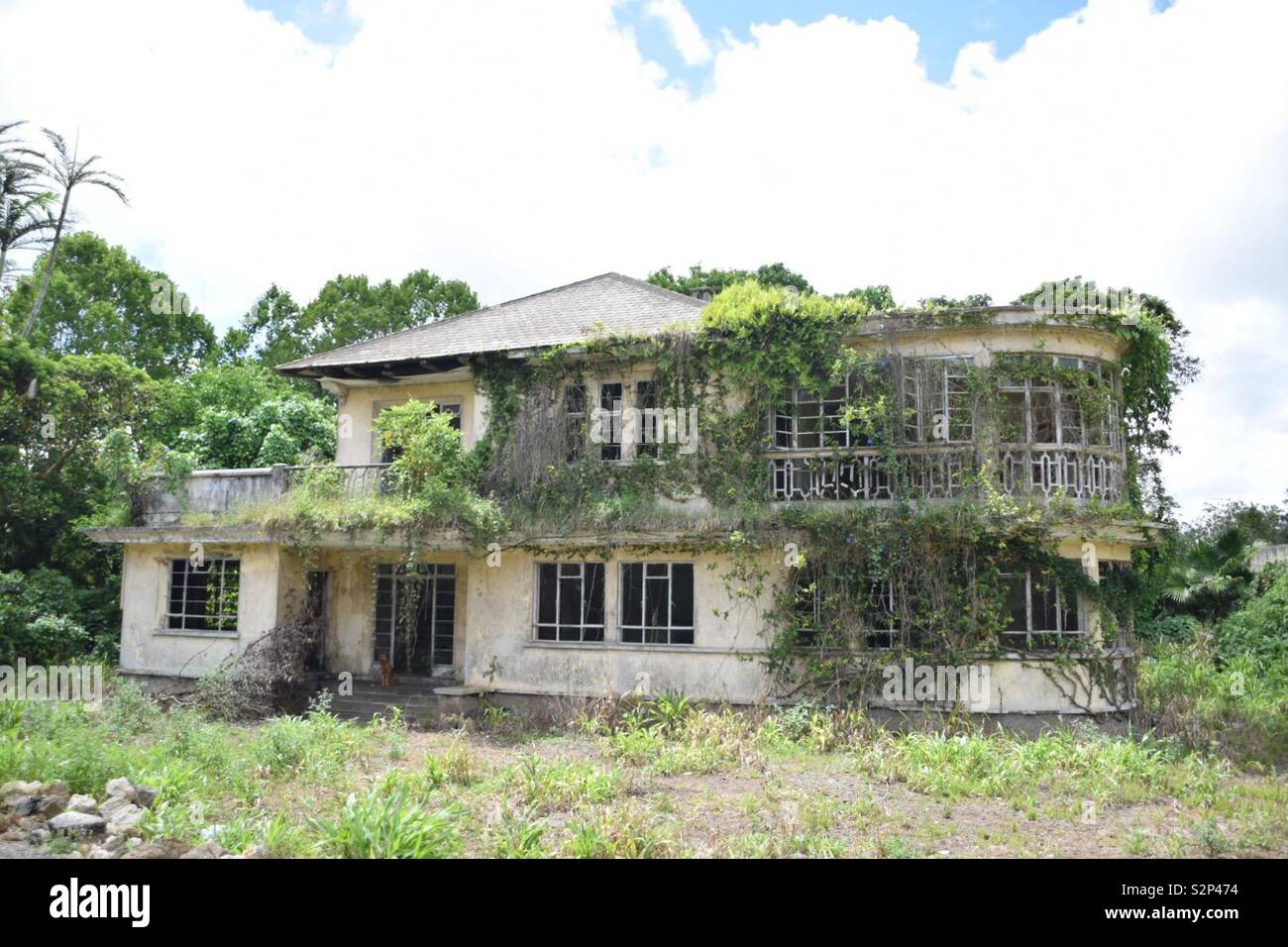 Abandoned house in Mauritius run by wild dogs Stock Photo Alamy