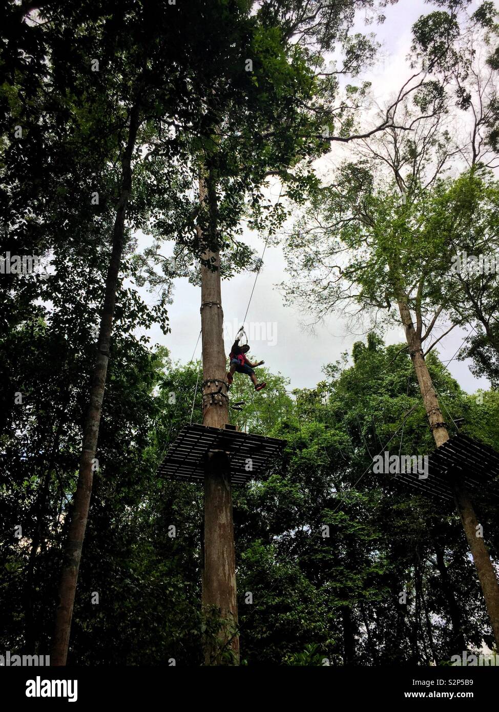 Fun activity in the forest. - Smartphone Captured Stock Image