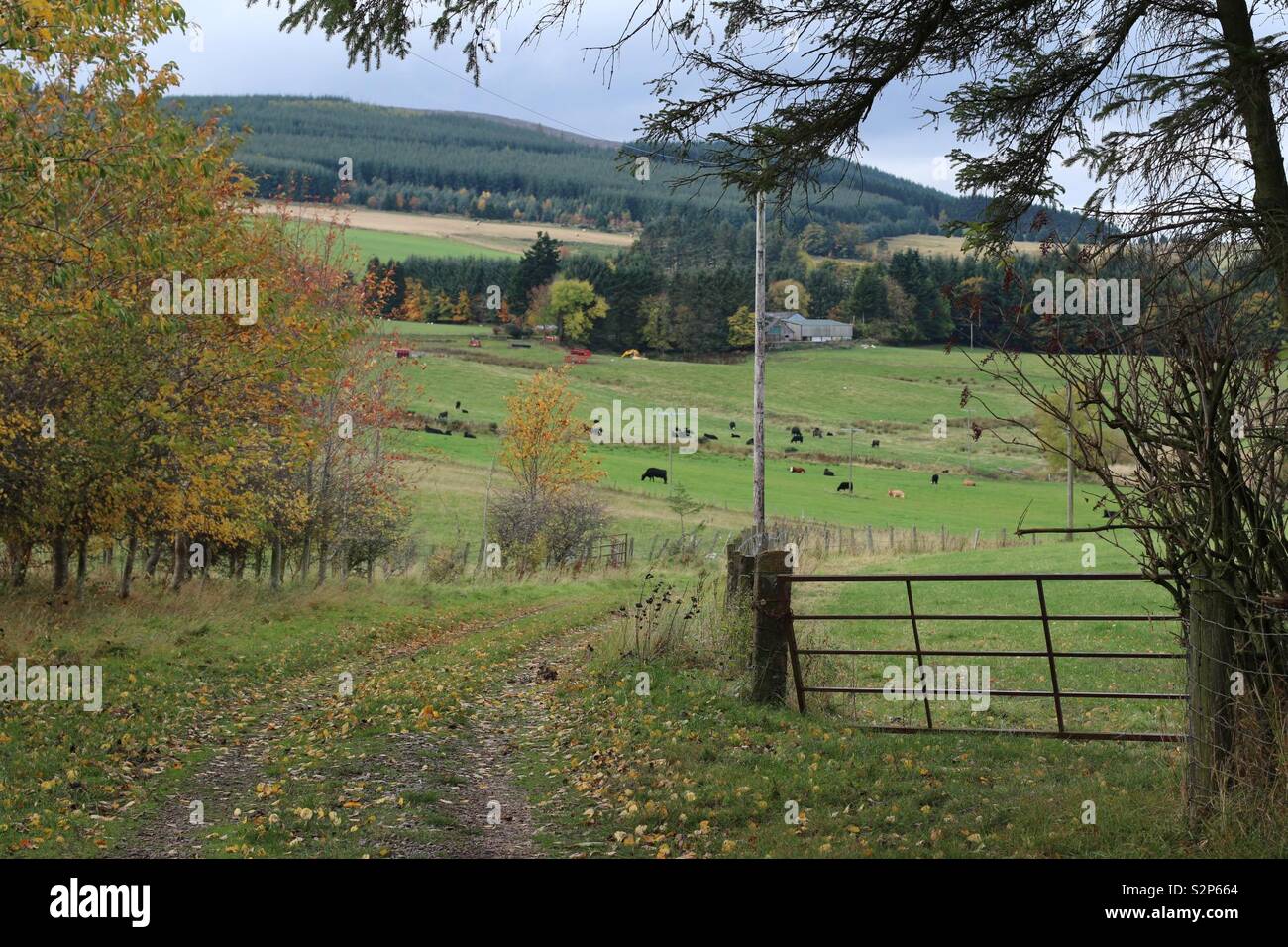 Farmland aberdeenshire hires stock photography and images Alamy