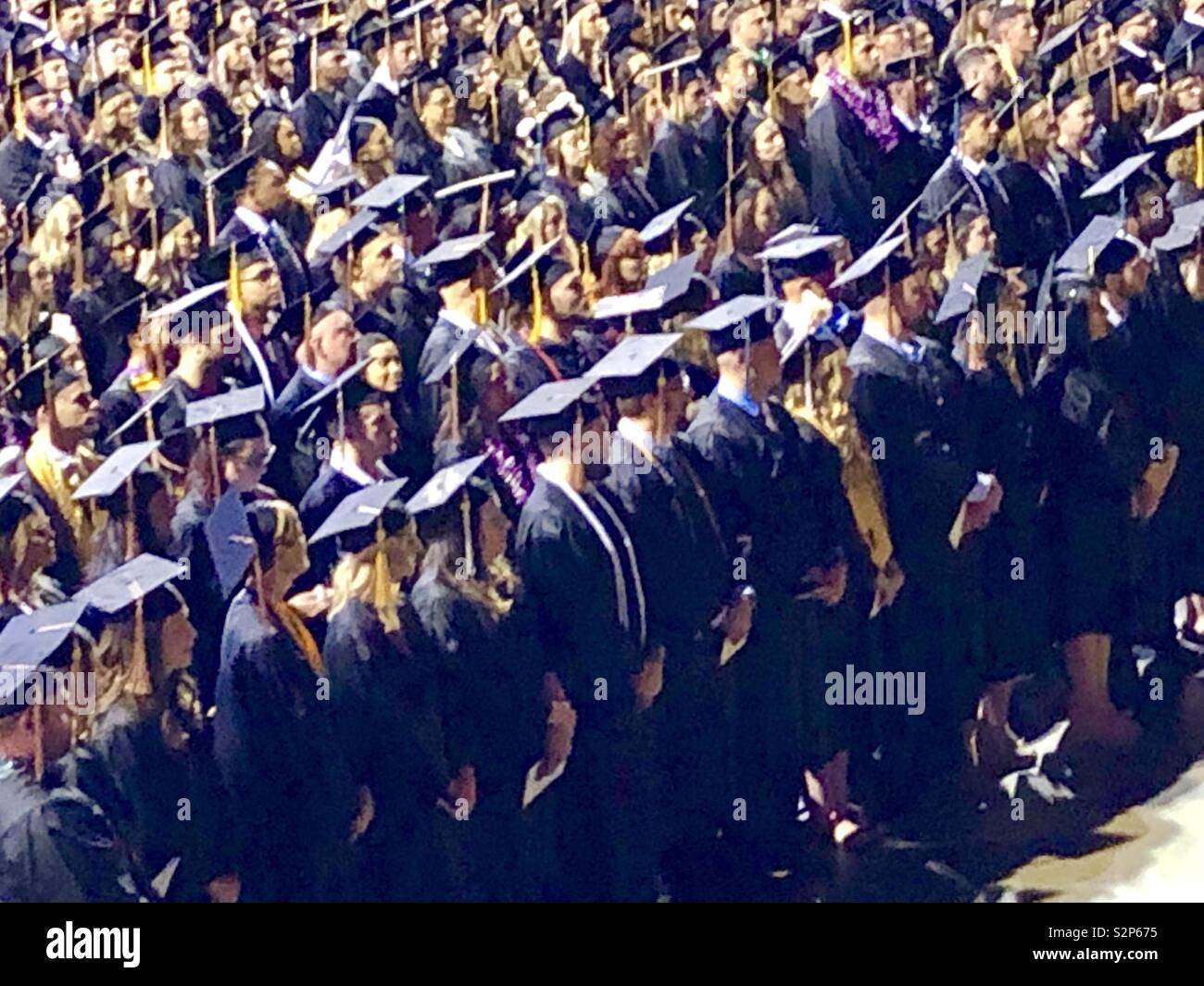 College graduates at commencement ceremony Stock Photo Alamy