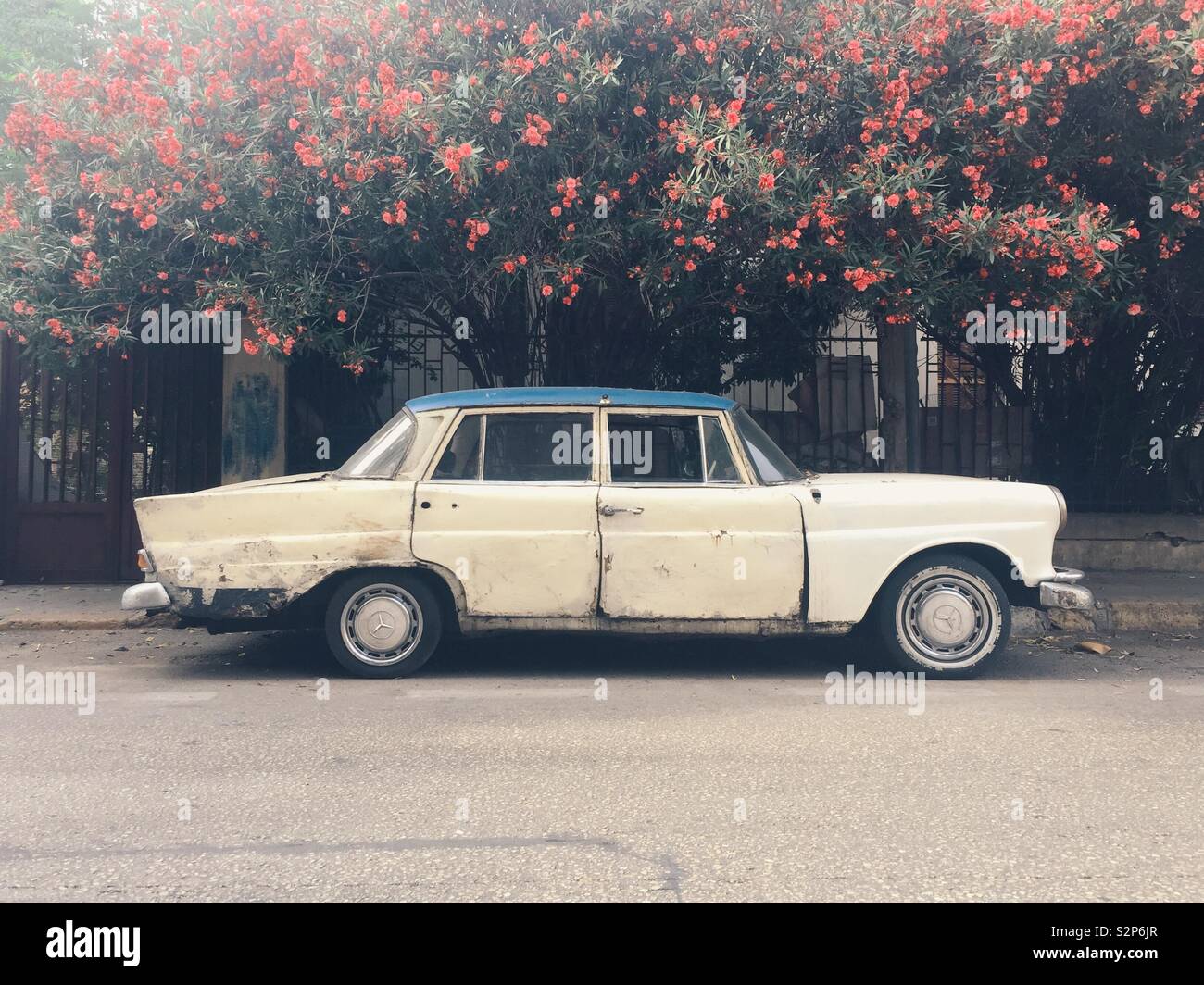 Old vintage Mercedes classic car Stock Photo