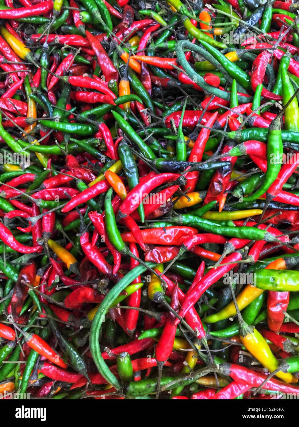 Full frame of many red and green Thai peppers. Stock Photo