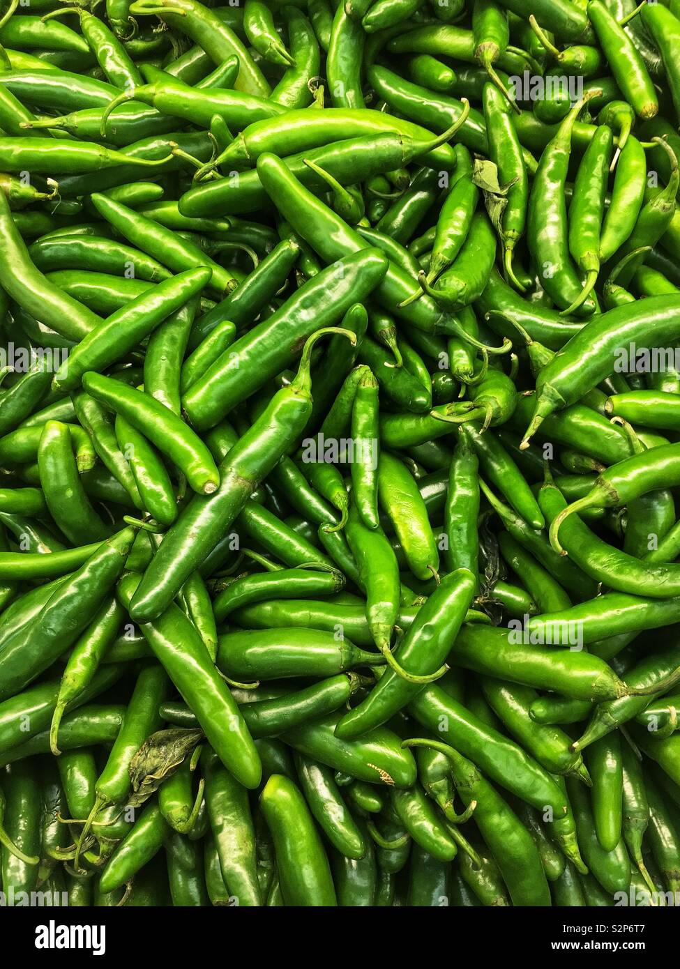 Full frame of many fresh ripe raw green Serrano peppers. Stock Photo