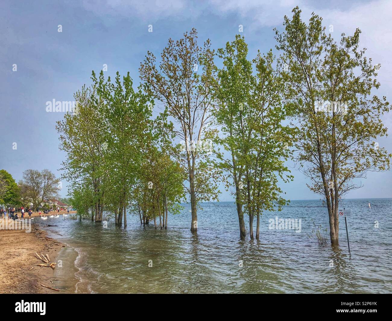 High water levels flood the beach on the shores of Lake Ontario. Stock Photo