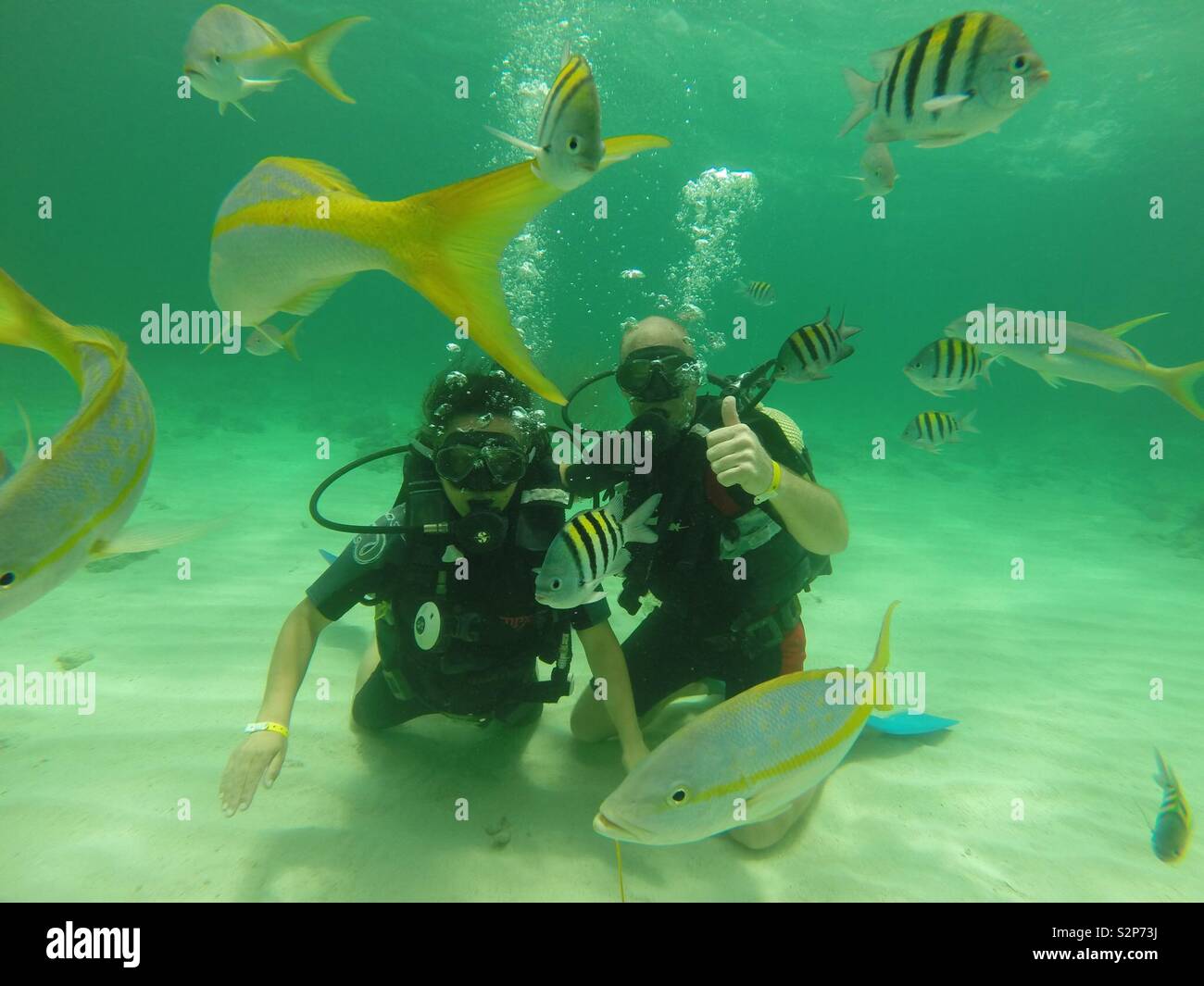 Under the sea scuba diving in Phuket Stock Photo