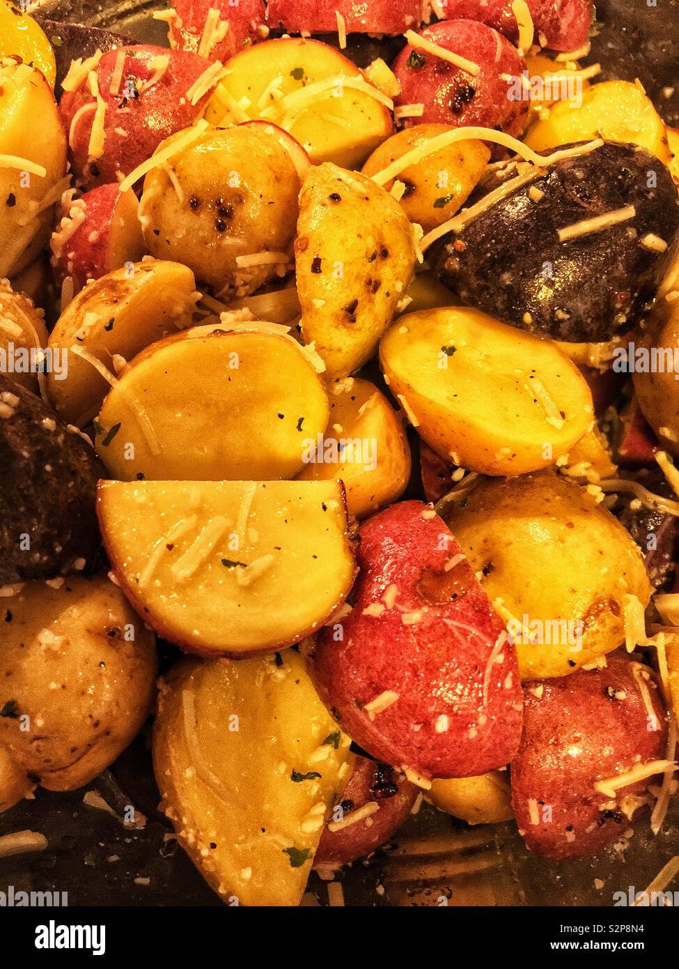 Medley of a variety of colorful potatoes cut and baked with fresh Parmesan cheese. - Smartphone Captured Stock Image