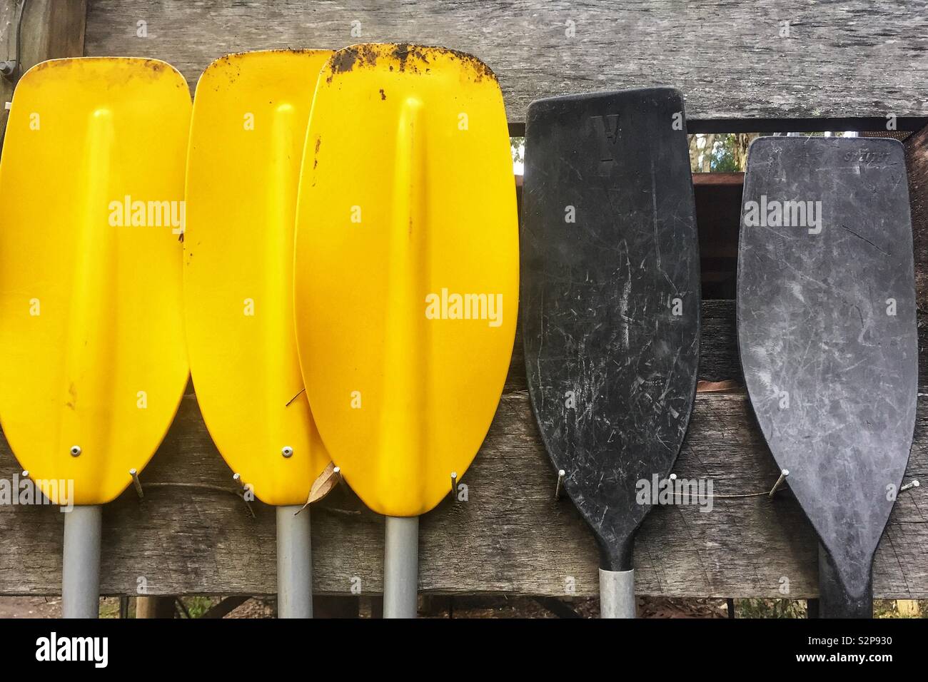 Close up of a group of yellow and black canoe paddle blades against wooden fence. Plastic boat paddles or oars, background Stock Photo
