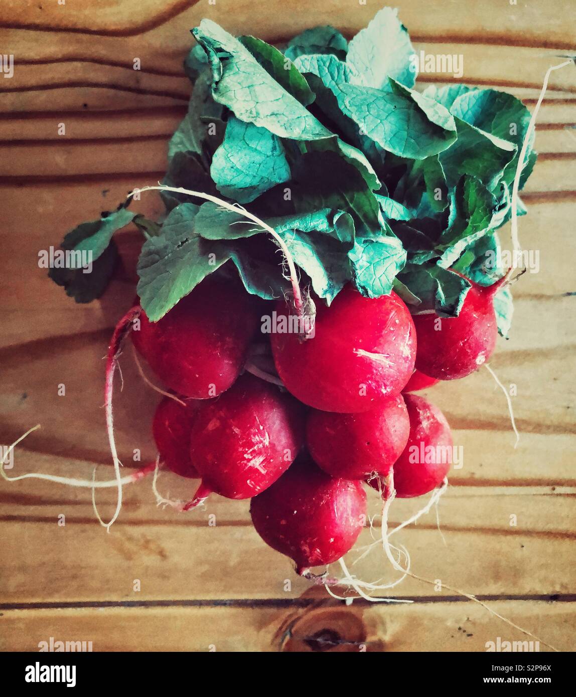 Bunch of garden fresh radishes with leaves on a wooden table - Smartphone Captured Stock Image