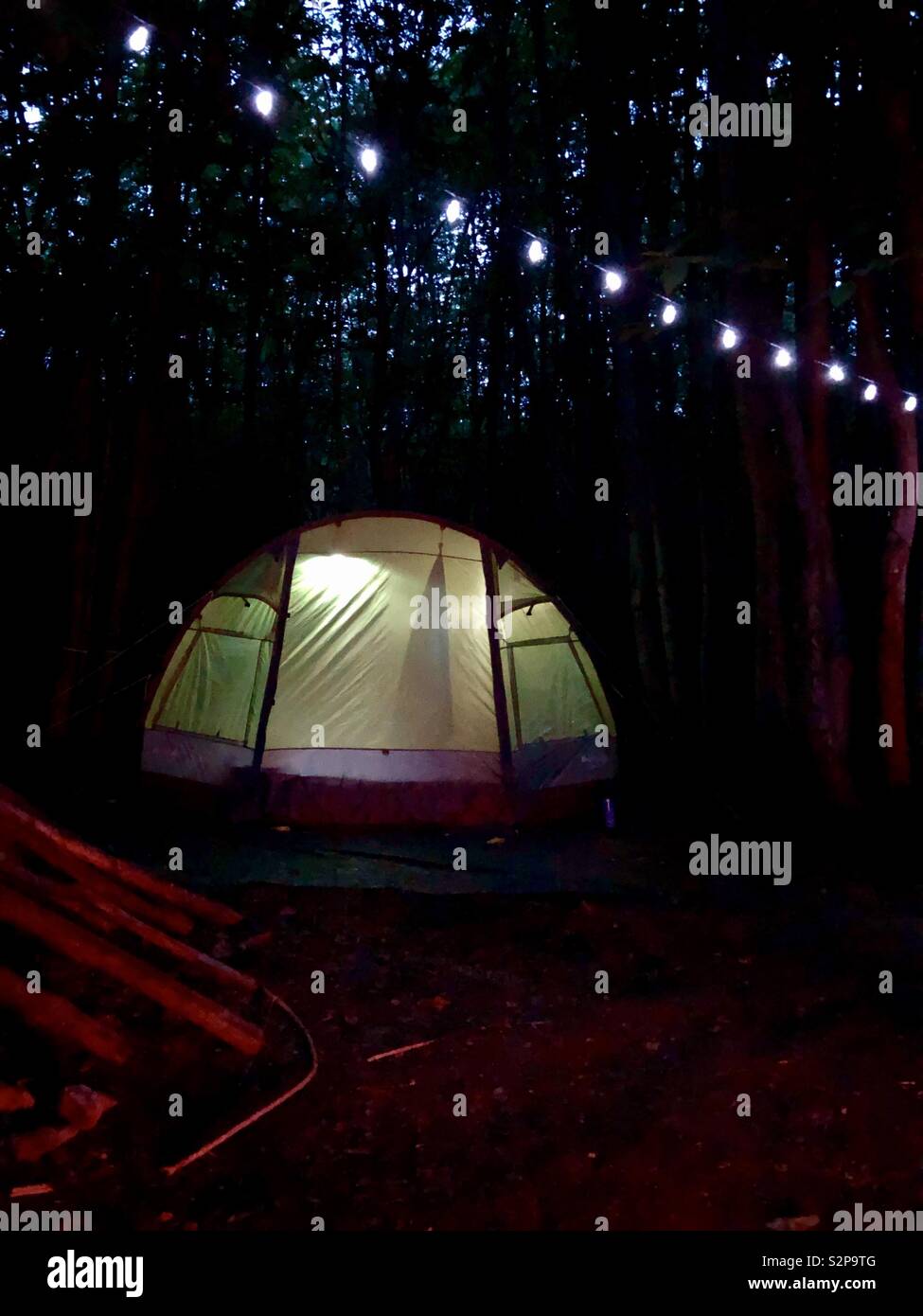 Tent in the forest Stock Photo - Alamy