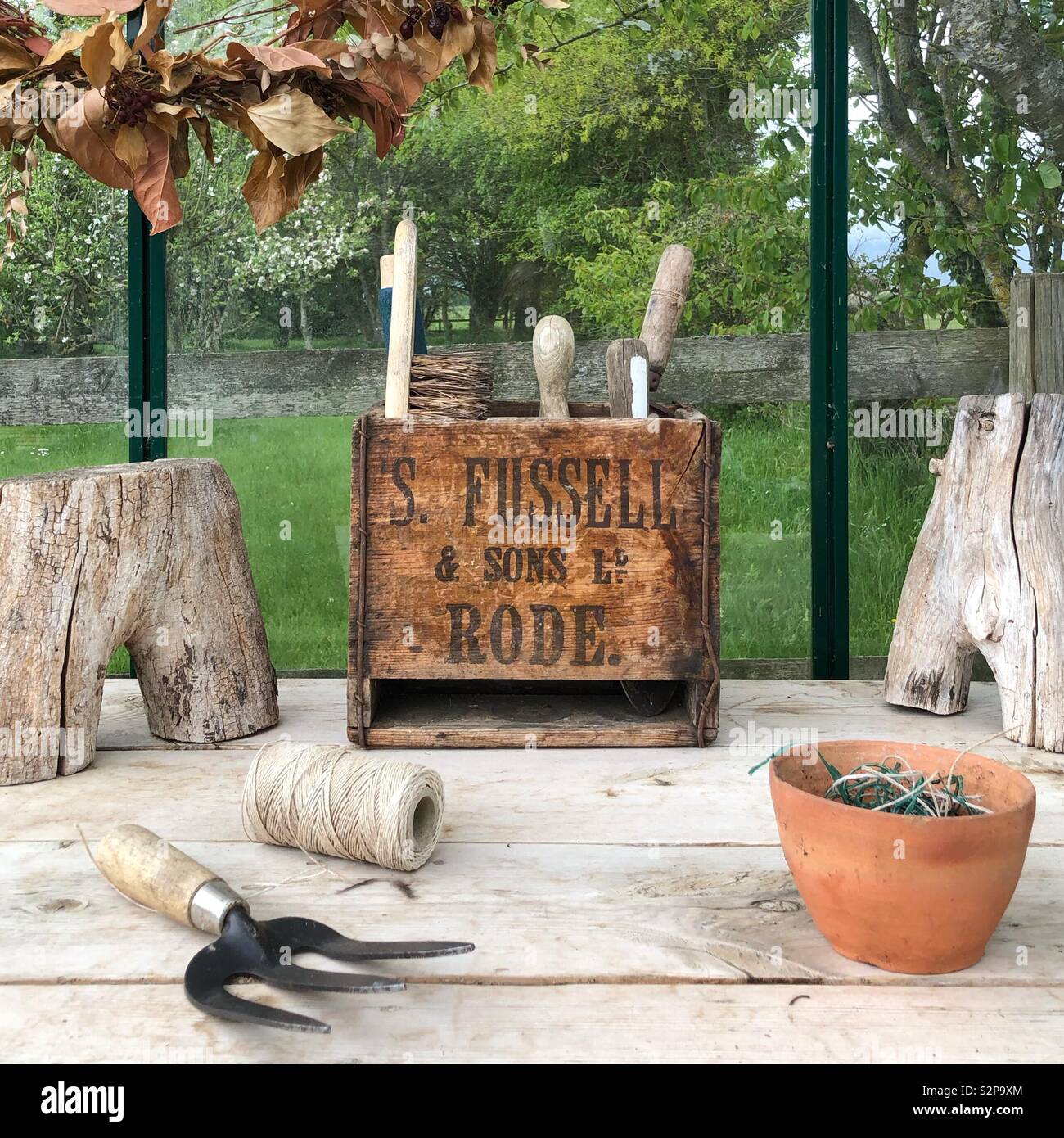 Greenhouse scene - Smartphone Captured Stock Image