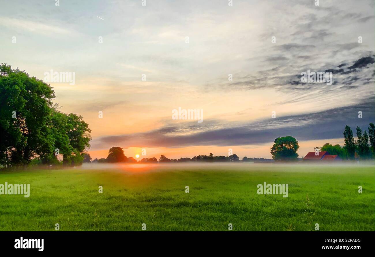 Soft glowing sunrise over a misty morning fresh green pasture on the countryside - Smartphone Captured Stock Image