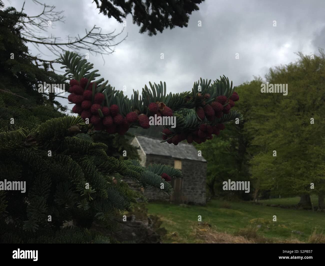 Red house in the woods hi-res stock photography and images - Alamy
