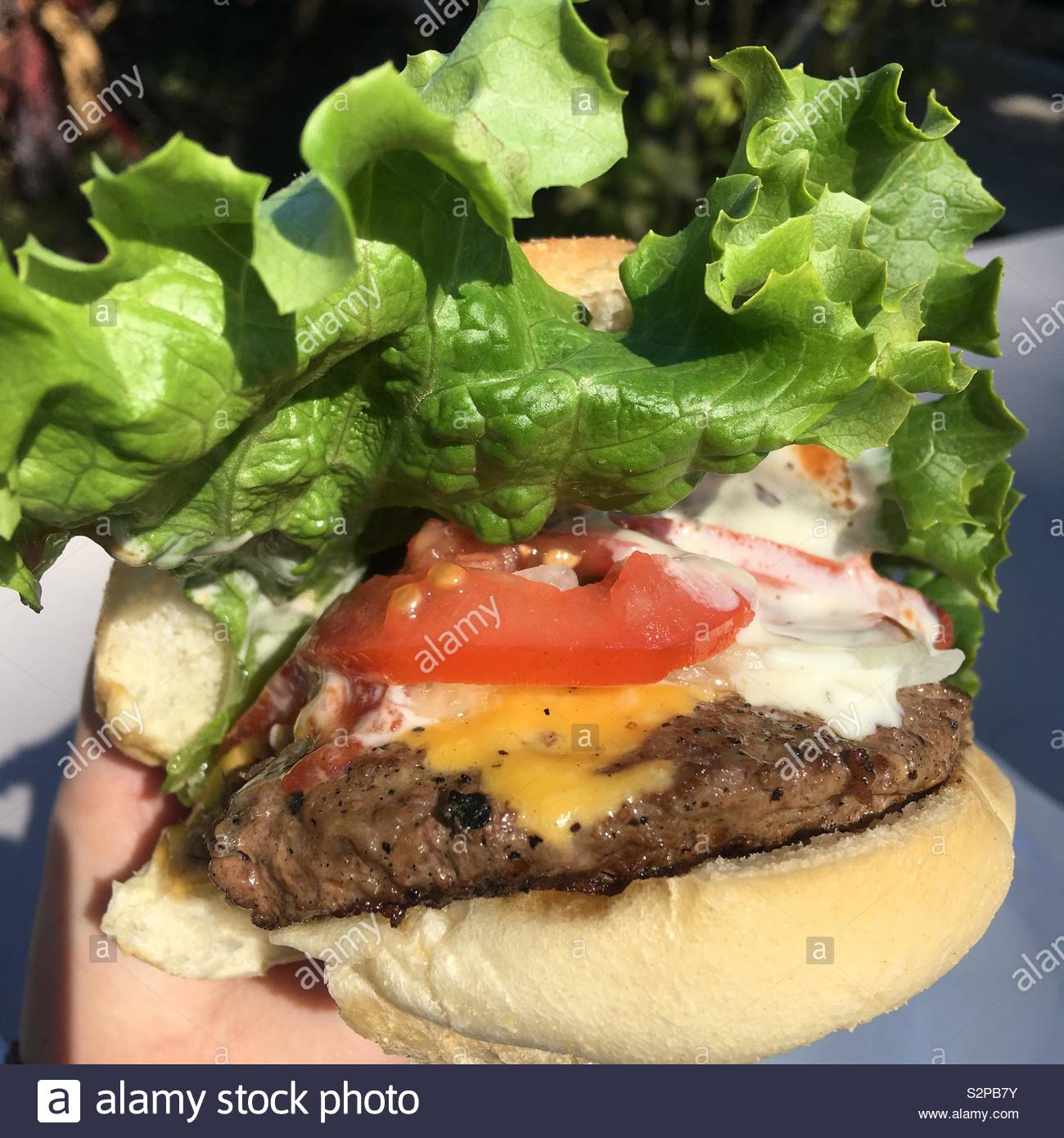 Islak Hamburger Fiyati Nedir Yuzyilhaber