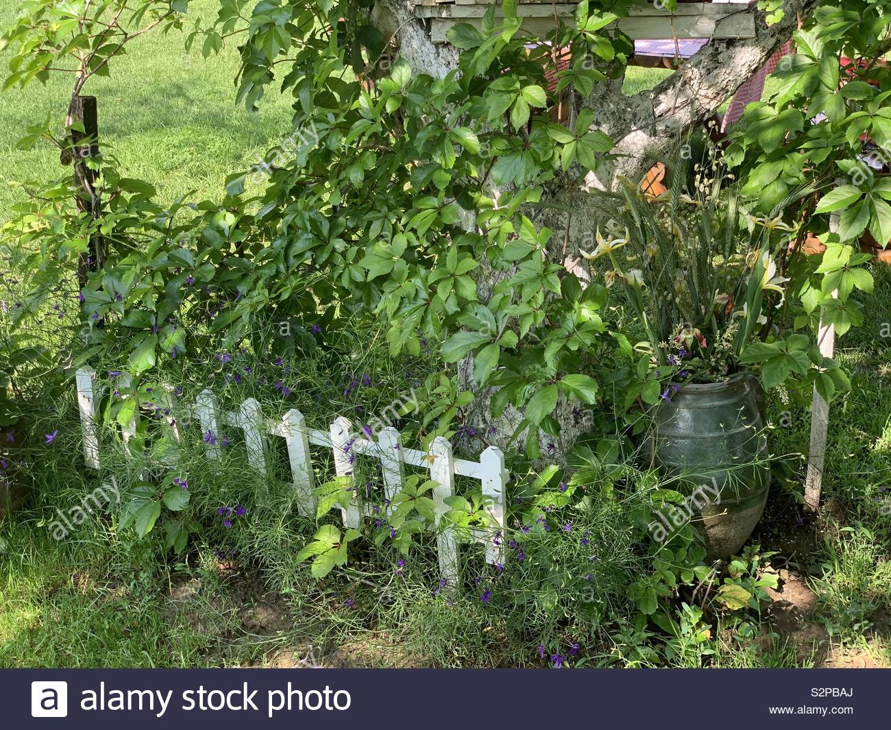 Wild garden hi-res stock photography and images - Alamy