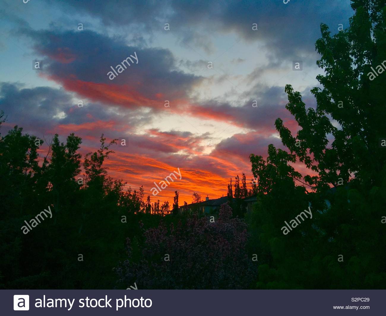 Sunrise, 5:20 AM, June 4th, Calgary, Alberta, Canada. Stock Photo