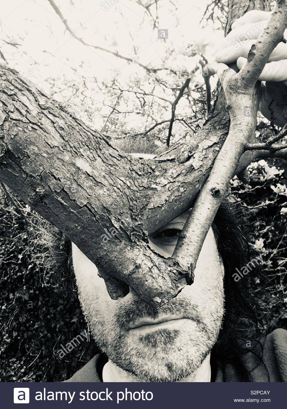 Tree Eye Stock Photo Alamy