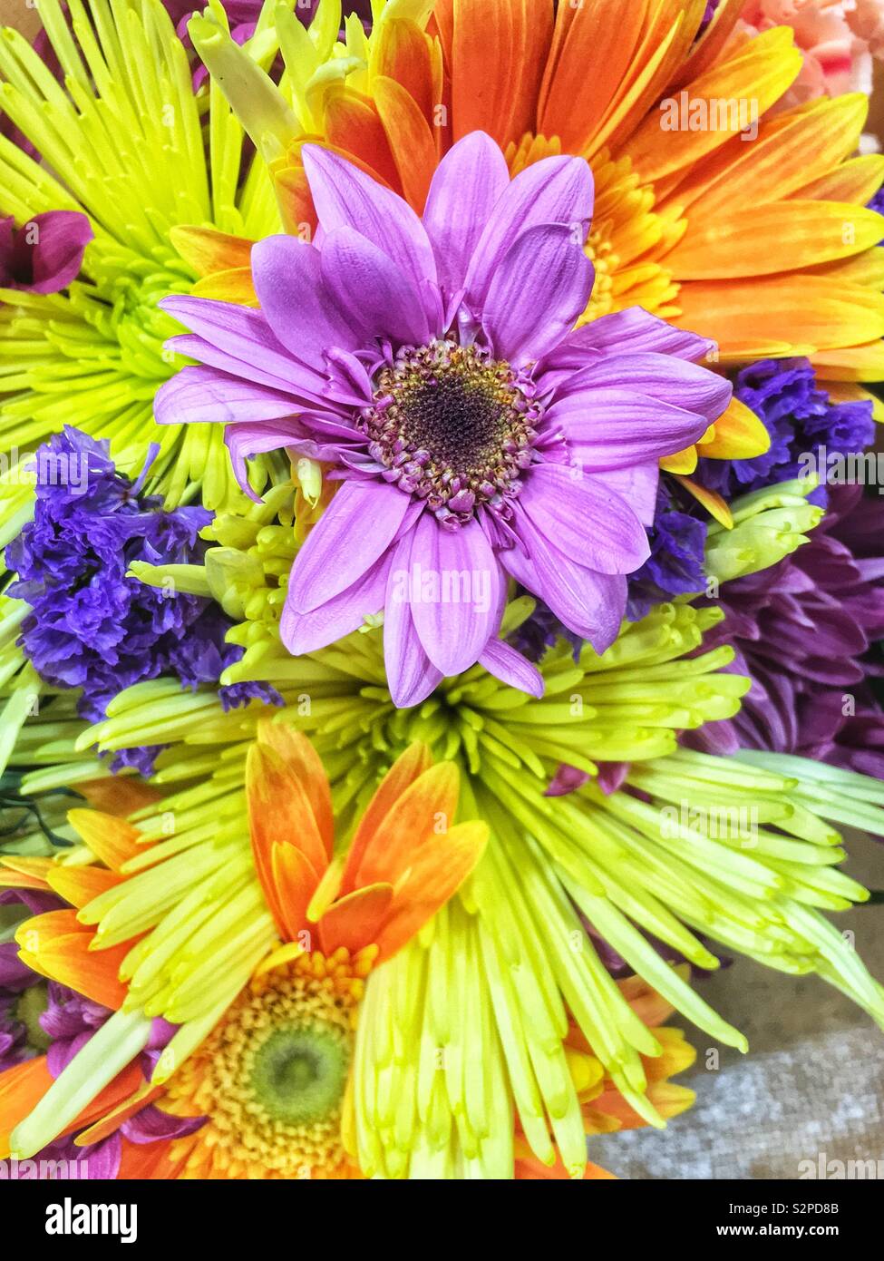 A fresh bouquet of a purple daisy, chrysanthemums, and brightly colored summer flowers. Stock Photo