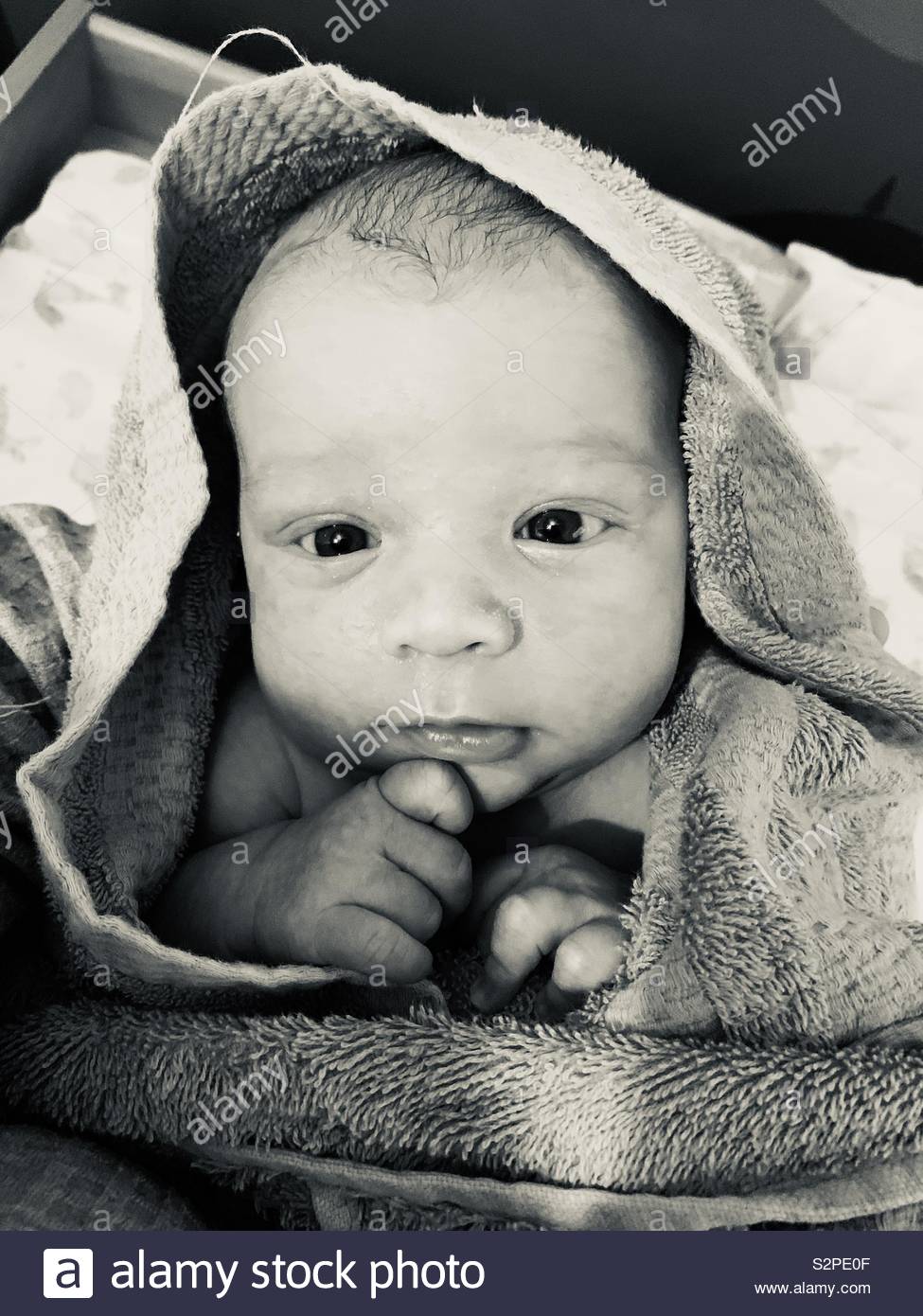 Baby after bath in towel Stock Photo Alamy