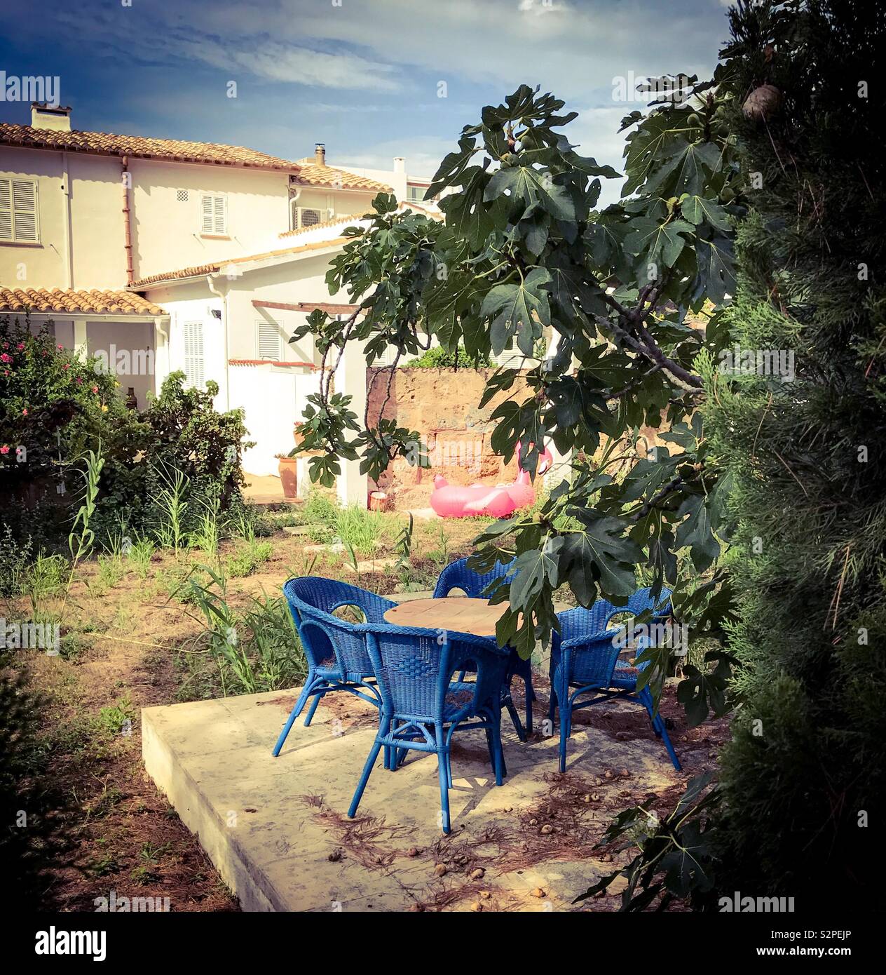 Spanish back garden Stock Photo Alamy