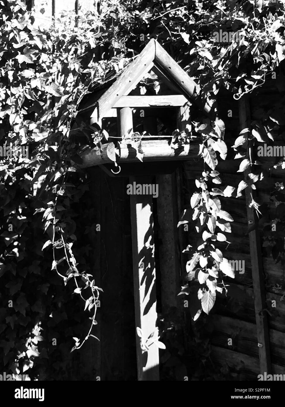 Black and white old bird house overgrown with vegetation Stock Photo