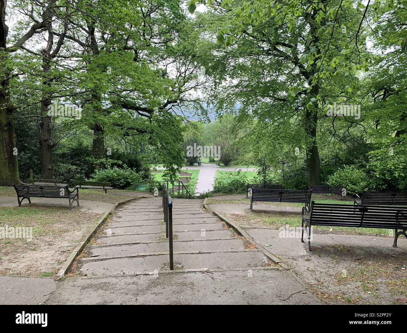 Oxleas woods Stock Photo 311510723 Alamy