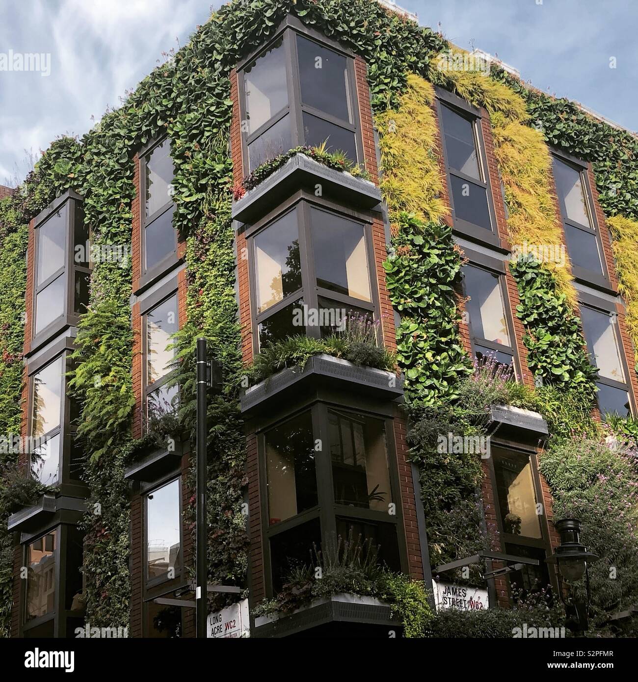Plant covered building Stock Photo - Alamy