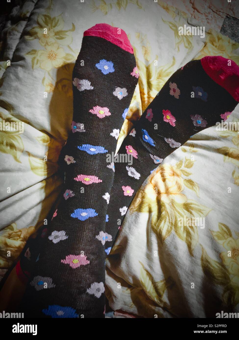 https://c8.alamy.com/comp/S2PFRD/crossed-legs-in-floral-knee-socks-propped-on-pillow-S2PFRD.jpg