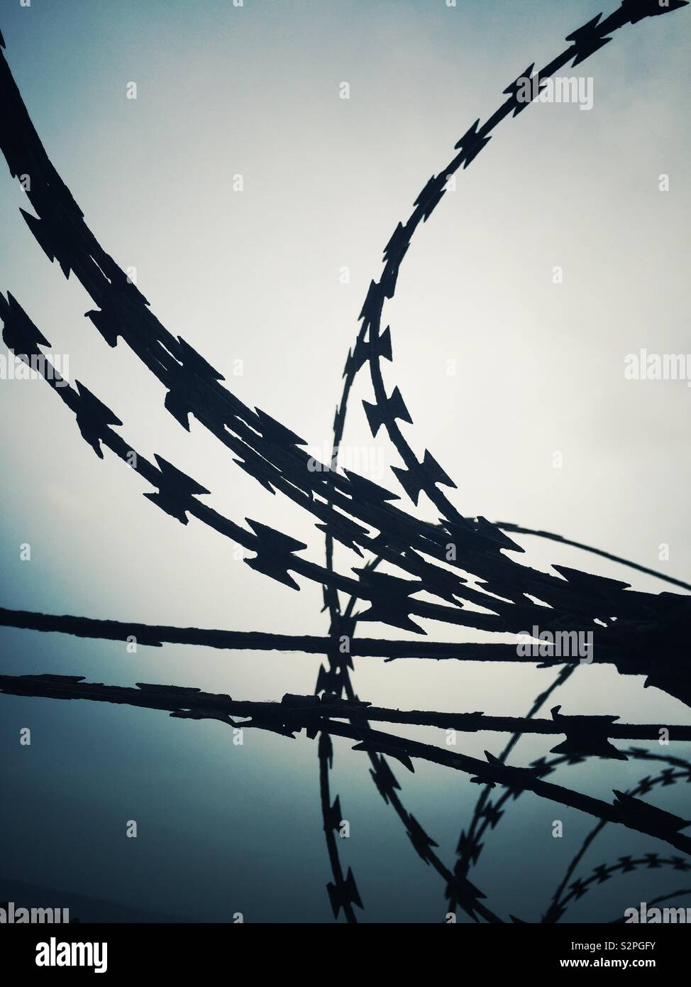Tangled razor wire silhouette Stock Photo
