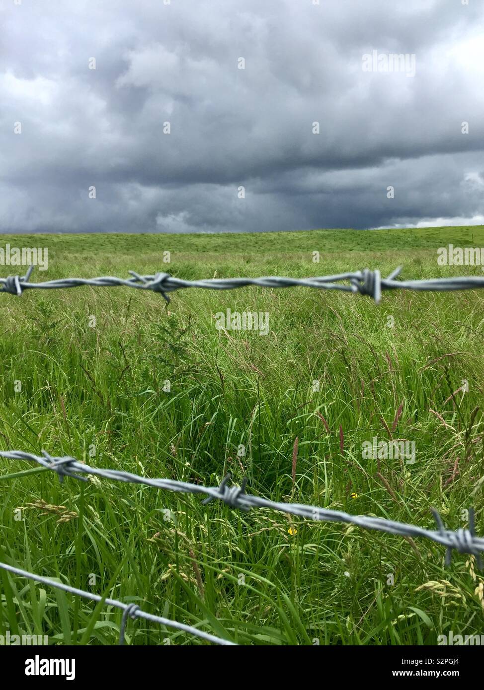 Keep out, field, barbed wire , dark sky Stock Photo