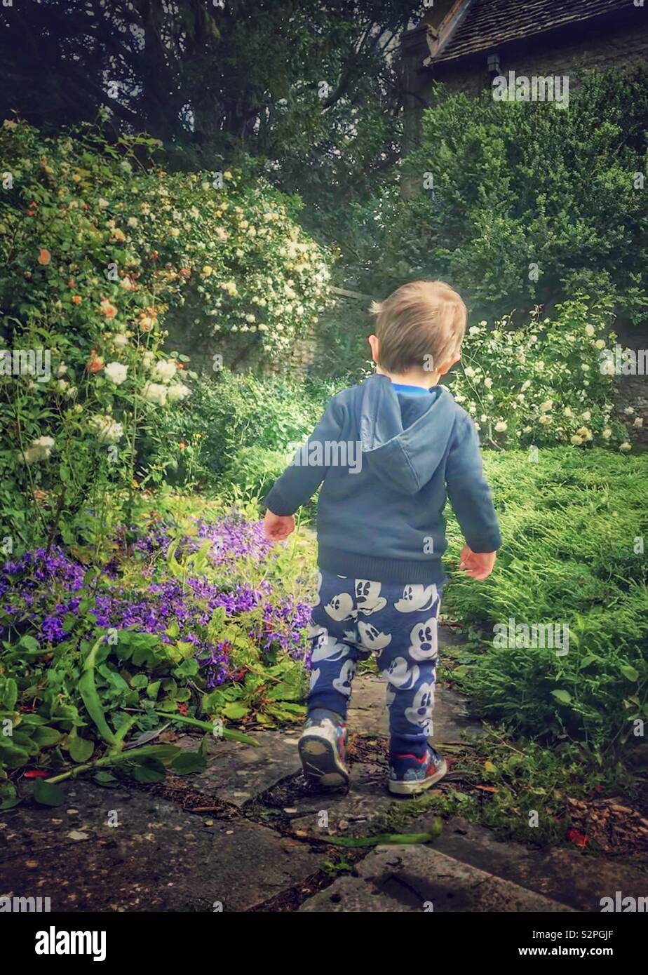 Toddler walking in a flower garden Stock Photo