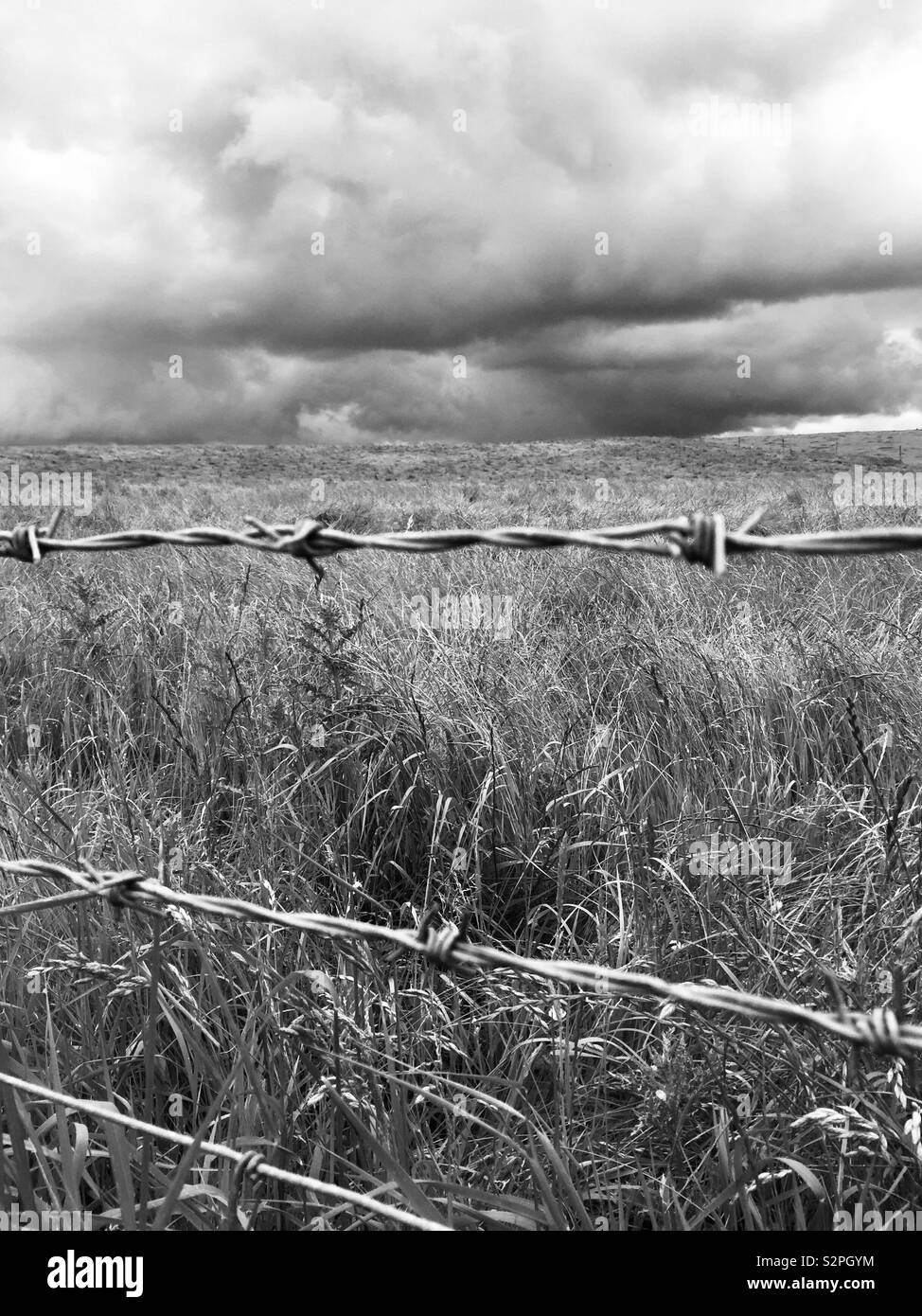 Keep out, barbed wire, field, dark sky, clouds, rain clouds Stock Photo
