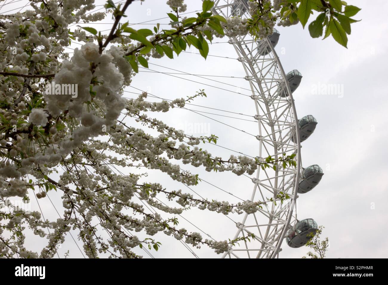 London Eye in Spring - Smartphone Captured Stock Image