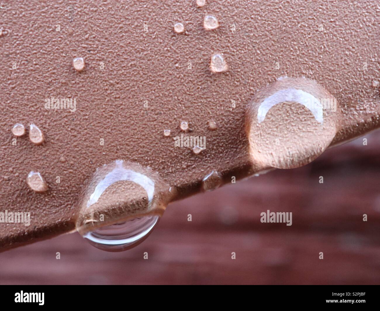 Fresh Summer Raindrop Stock Photo