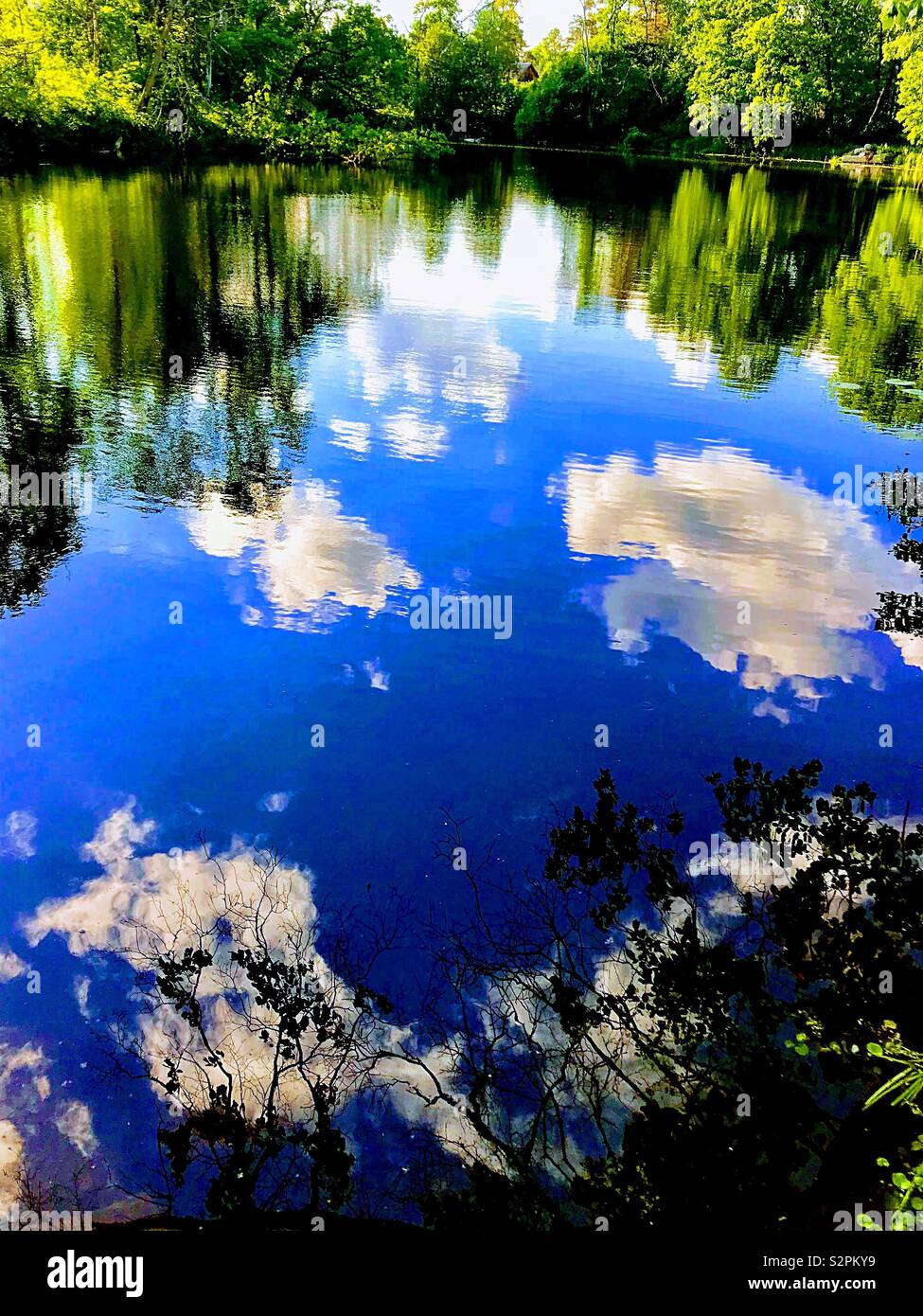 Mirror reflection of the sky and clouds in the water Stock Photo - Alamy