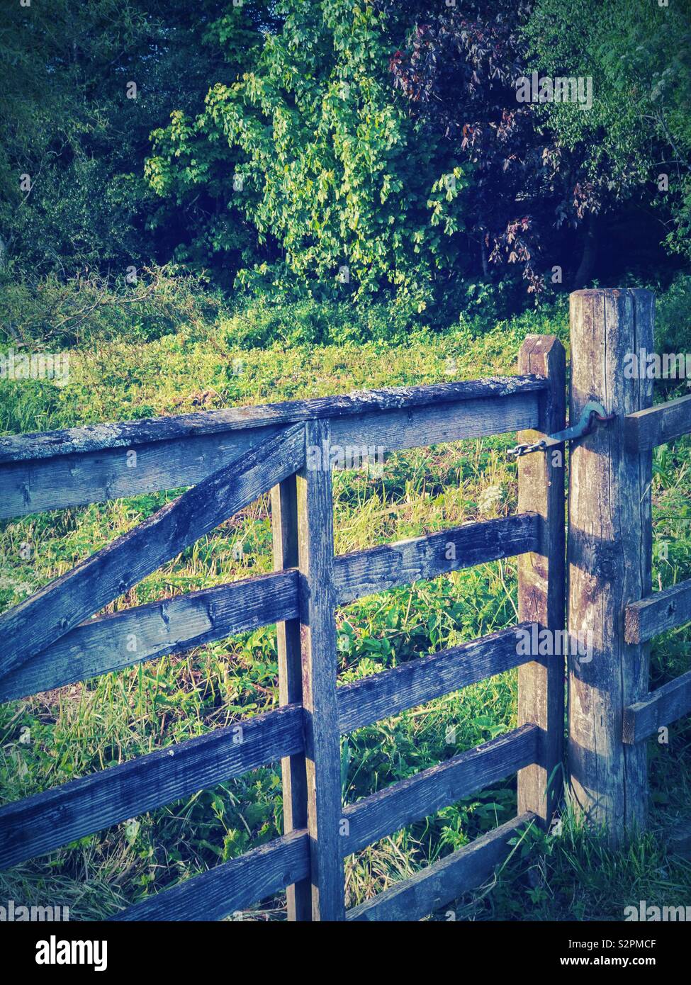 Wooden gate to field in countryside in Scotland. Stock Photo
