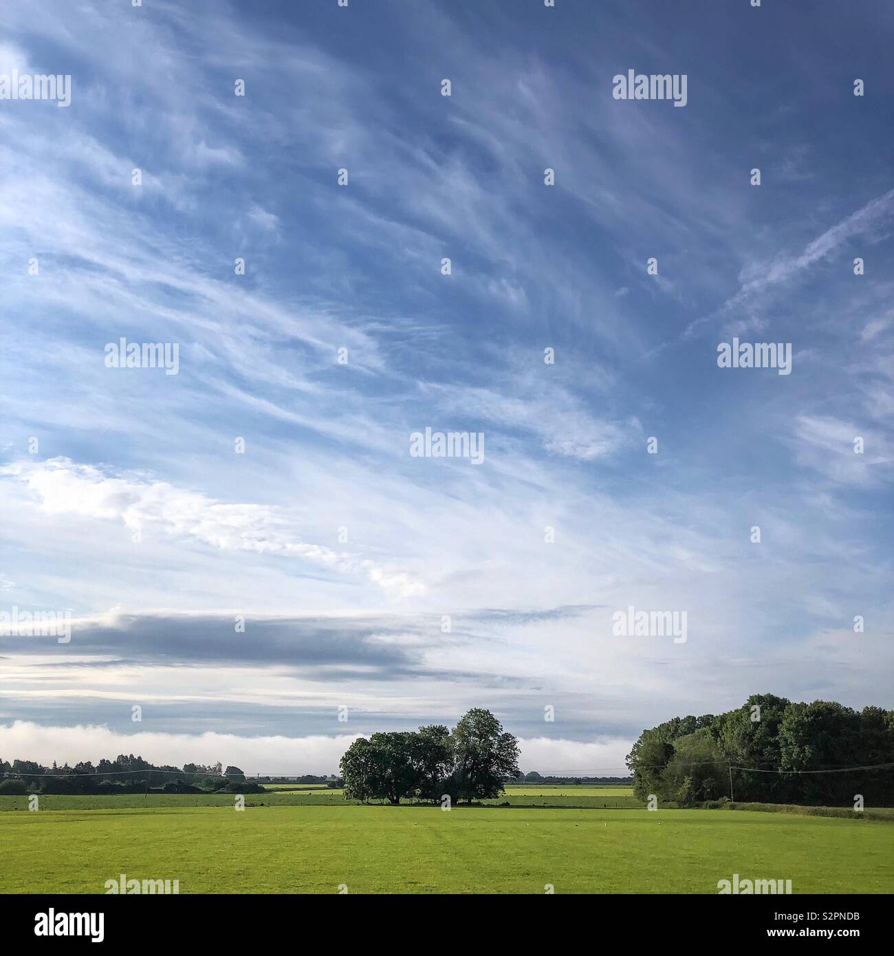 Beautiful early morning light. - Smartphone Captured Stock Image