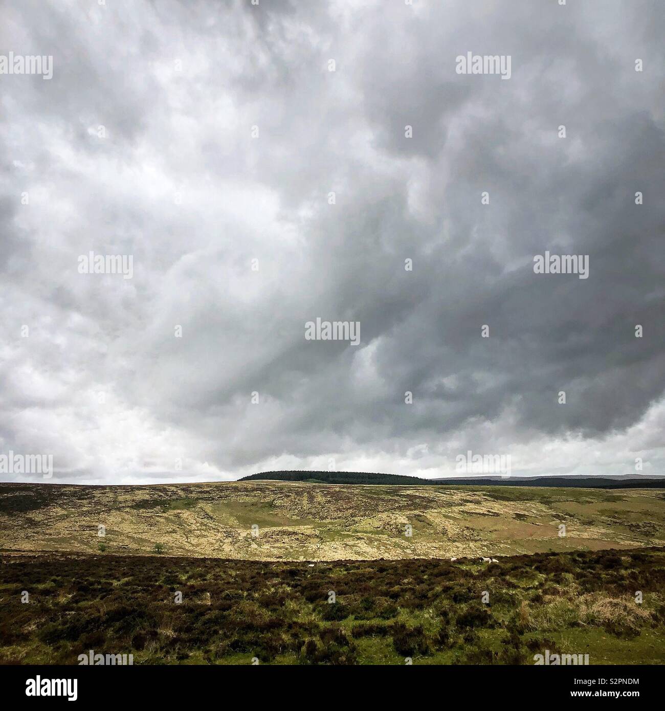 Dartmoor National Park. - Smartphone Captured Stock Image