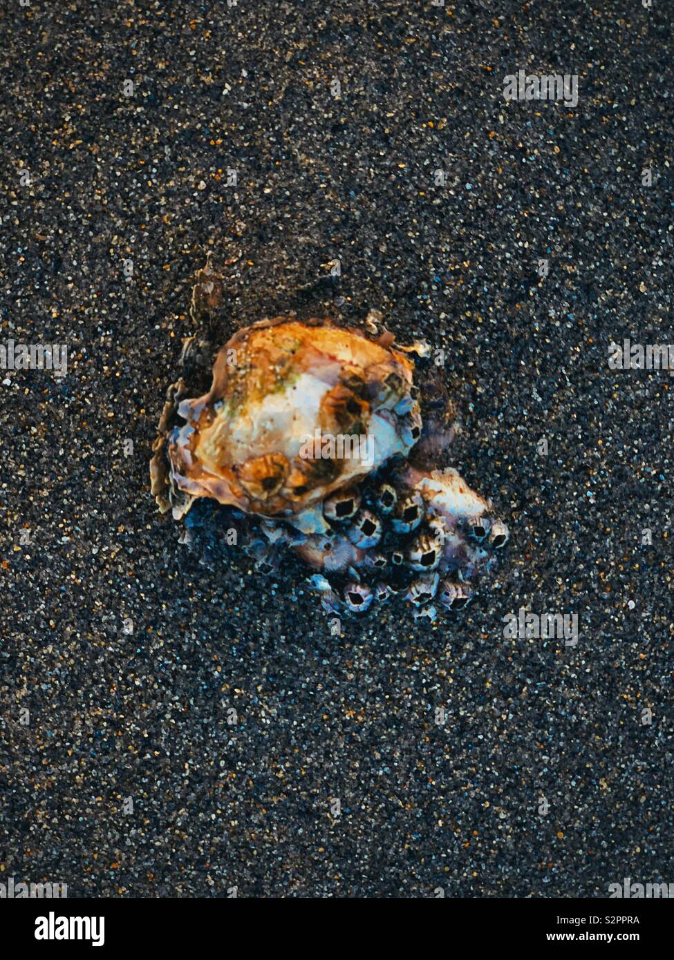 colors of sand Stock Photo Alamy