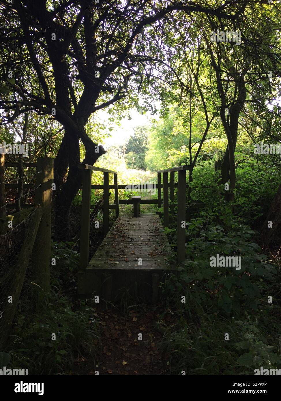 Bridge view hi-res stock photography and images - Alamy